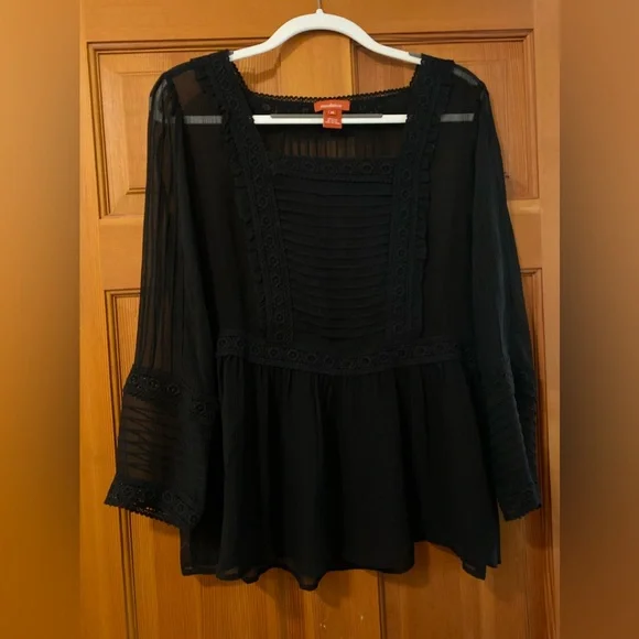 Sundance Very Black Sheer silk Blouse with lace detail. Beautiful Elegant - Picture 2 of 14